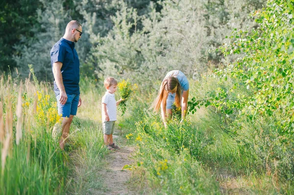 Familia de tres personas recoger flores silvestres amarillas en un prado . —  Fotos de Stock