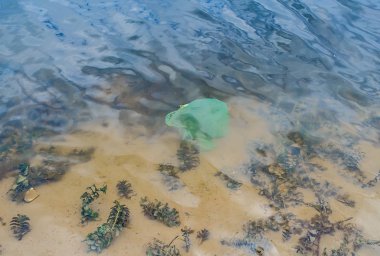 Suda yüzen atık plastik torba. 
