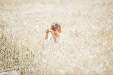 Buğday kulaklarının ortasında oturan hayali dalgın çocuk