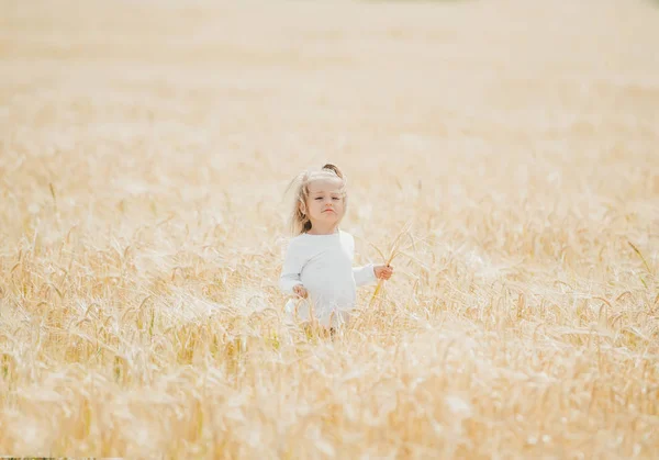 Güneşli bir günde buğday tarlasında güzel küçük bir kız. Buğday tarlasında güzellik bebek kız portresi.