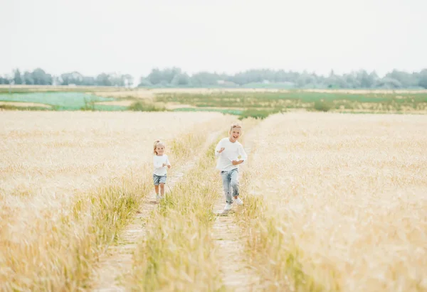 Hermano y hermana linda corriendo en el campo de trigo en el día soleado —  Fotos de Stock