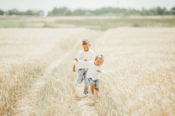 Yaz günü buğday tarlasında koşan iki mutlu çocuk