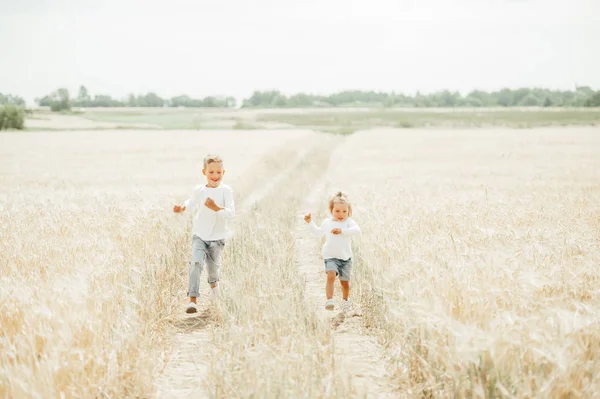 Szczęśliwe dzieci biegną w polu pszenicy w słoneczny dzień. — Zdjęcie stockowe