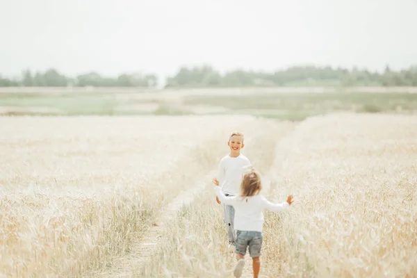 Dwa urocze dzieci, mała dziewczynka i chłopiec, grając w polu pszenicy. — Zdjęcie stockowe