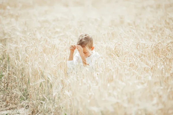 Dreamily pensive boy sitting in the middle of wheat ears — Stock Photo, Image