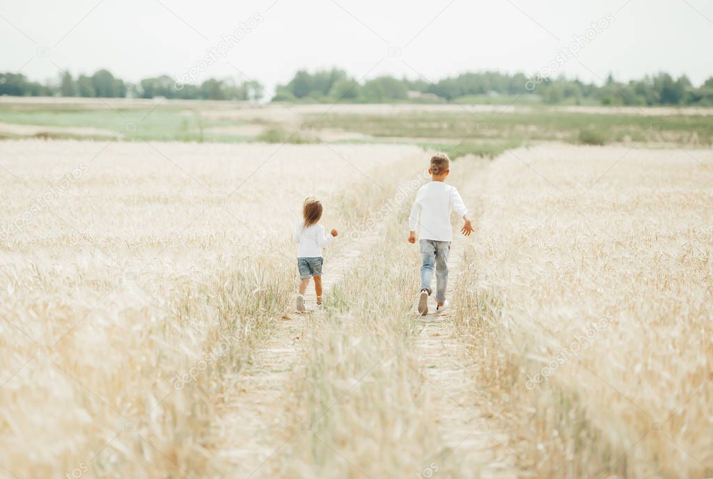 Happy children running in the wheat field in sunny day. Back view