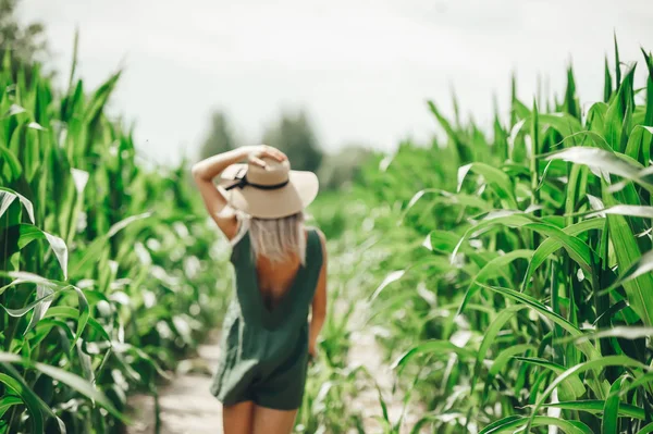 Hermosa joven con sombrero de paja caminando en el campo de maíz. Vista trasera. Enfoque selectivo en maíz — Foto de Stock