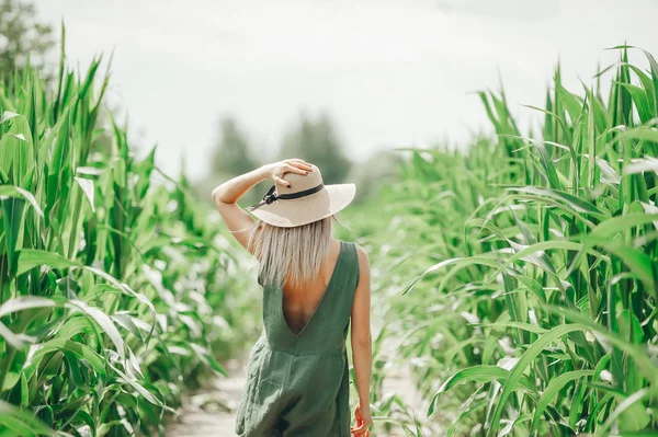 Piękna młoda kobieta w kapeluszu słomy chodzenie w polu kukurydzy. Widok z tyłu — Zdjęcie stockowe