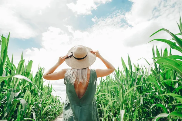Piękna młoda kobieta w kapeluszu słomy chodzenie w polu kukurydzy i patrząc na błękitne niebo. Widok z tyłu — Zdjęcie stockowe
