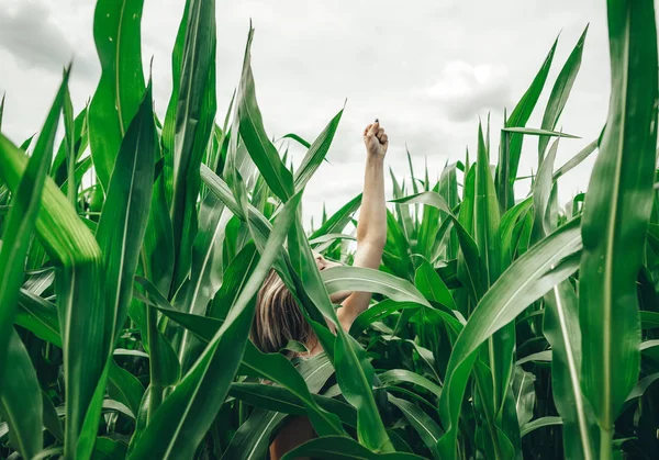 Piękna dziewczyna chowa się w polu kukurydzy. Dreamlike odpoczynku na wsi. — Zdjęcie stockowe