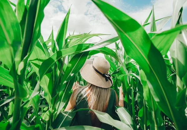 戴着草帽的漂亮年轻女子在玉米地里。后视图 — 图库照片