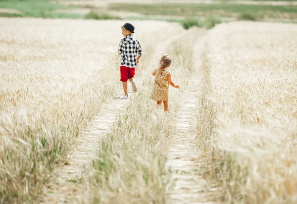 Lindos niños pequeños corren a lo largo de un camino rural en el campo de trigo en el día de verano —  Fotos de Stock