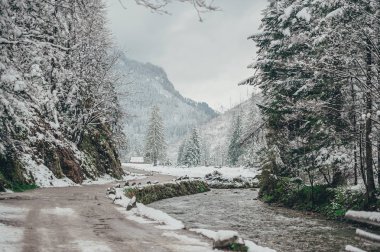 Karlı yol ve Tatra dağlarında bir dere.