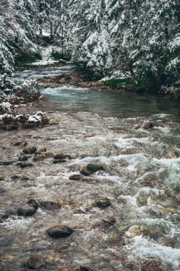 Kışın Mroga nehri ve orman karla kaplı. Polonya