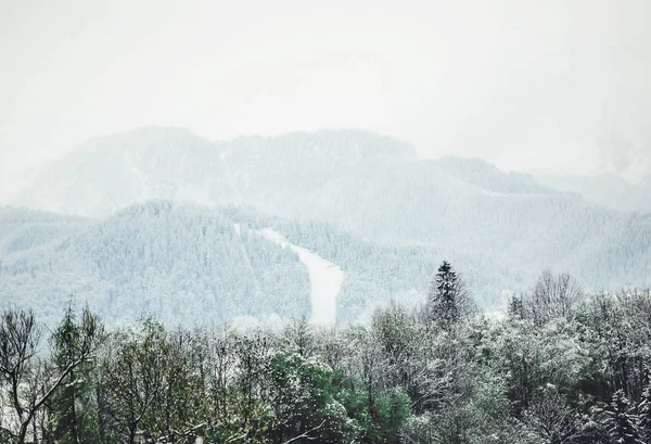 Paisagem nebulosa de montanhas de inverno. Tatra montanhas, Polônia . — Fotografia de Stock