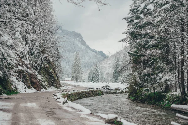 A estrada nevada e um riacho nas montanhas Tatra . — Fotografia de Stock