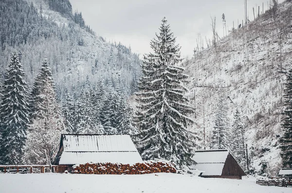 Een houten hut in het Tatra-gebergte in Polen. — Stockfoto