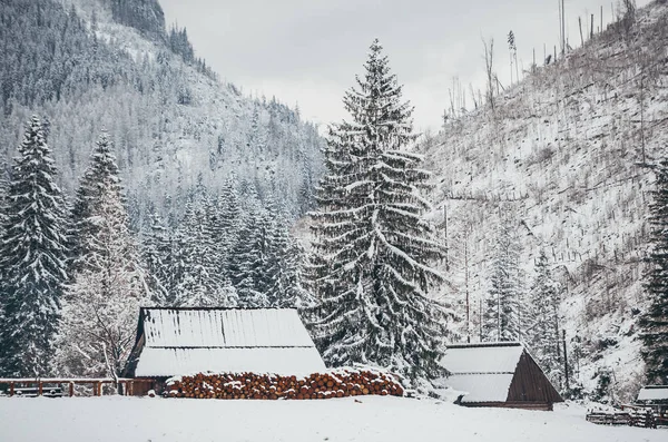 Tatra Dağları'nda ahşap bir kulübe, Polonya. — Stok fotoğraf