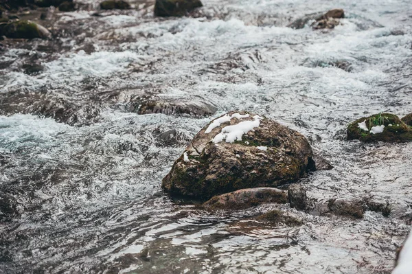 Movimento de água selvagem em um rio no inverno com neve e pedras na bela natureza de uma floresta — Fotografia de Stock