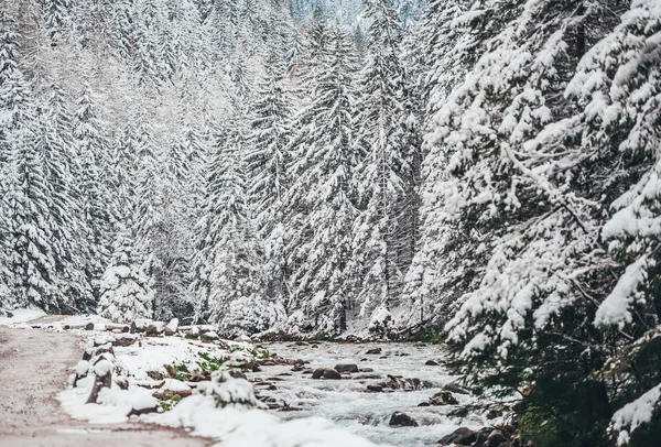 En bäck i vinter Tatrabergen. Polen — Stockfoto