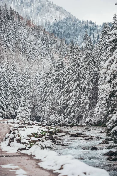 Rio Mroga no inverno e floresta coberta de neve. Polónia — Fotografia de Stock