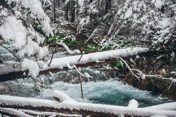 En bäck flödar över ett vinter bergslandskap med de tumlade träden täckta med färsk snö. — Stockfoto