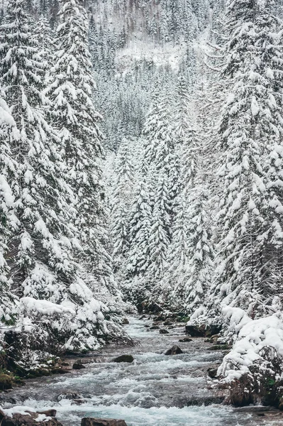 Mountain River. Tatrabergen. Polen — Stockfoto