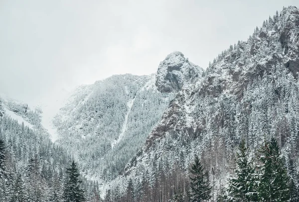 Tatrzańskie góry Parku Narodowego w Polsce. Mgliste krajobrazy gór zimowych. — Zdjęcie stockowe