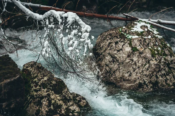 Movimento de água selvagem em um rio no inverno com neve e pedras na bela natureza de uma floresta — Fotografia de Stock