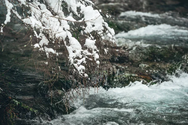 Fluxos de água no rio floresta de inverno, pedras cobertas de neve, árvores em ambos os lados . — Fotografia de Stock