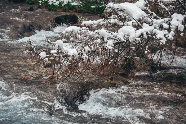 Paisagem de inverno com o fluxo em dia gelado — Fotografia de Stock