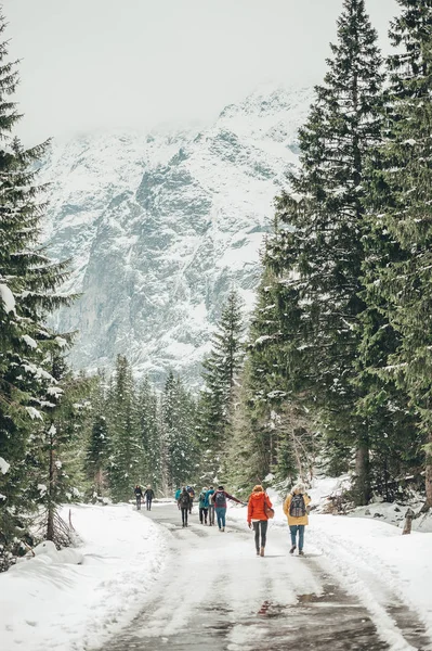 Cesta do jezera Morskie oko v pohoří Tatra — Stock fotografie