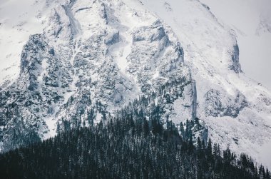 Kış gününde karla kaplı dağlar ve ağaçlar.