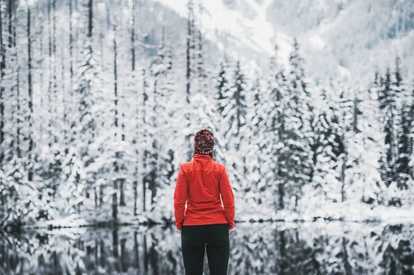 Jedna dziewczyna Hiker stoi przed jeziorem zimowym patrząc na ośnieżone krajobraz. Widok z tyłu. — Zdjęcie stockowe