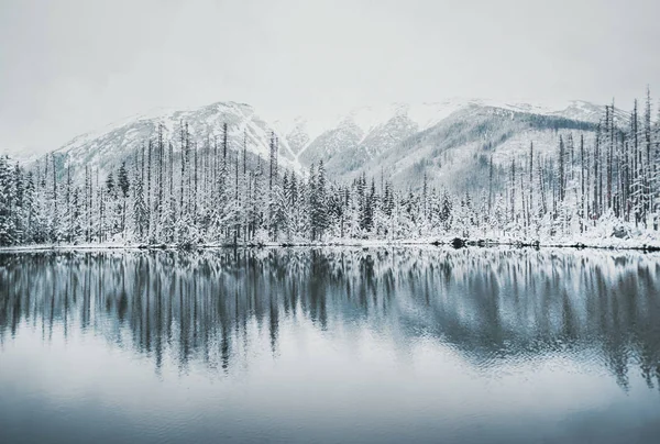 Panoramic view of beautiful winter lake with snowy mountain peaks reflecting in crystal clear mountain lake. — Stock Photo, Image