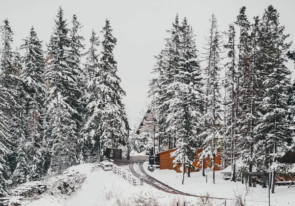 Winterweg in de Poolse dorps vallei met oude houten huizen. Tatra-gebergte — Stockfoto