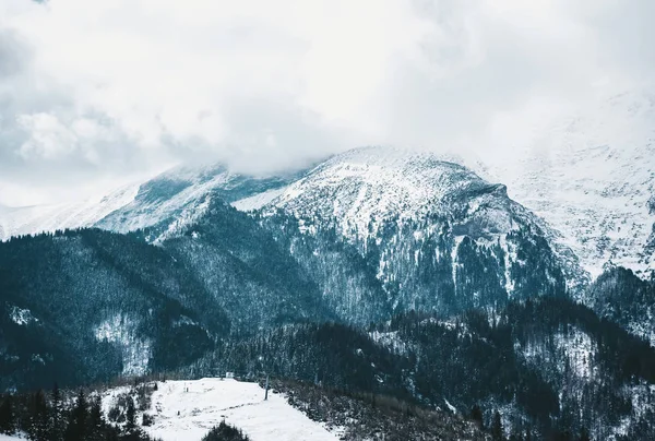 Misty journée d'hiver avec de la neige épaisse sur les sommets des montagnes Tatra. Vue panoramique — Photo