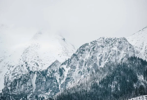 Misty journée d'hiver avec de la neige épaisse sur les sommets des montagnes Tatra — Photo