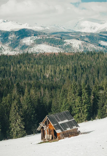 Houten hut en berg besneeuwde landschap horizon in Zakopane — Stockfoto