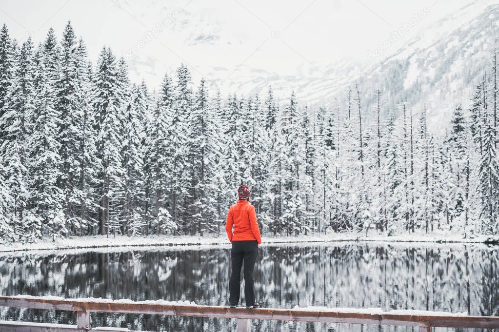 A young woman in orange jacket admires the picturesque landscape of winter lake. Back view