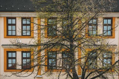 Poprad'daki eski bina ve ağacın Fasade'si. Slovakya. Closeup 