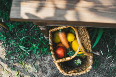 Bahçede ahşap masa altında bir sepet içinde taze organik meyve ve sebze. Üstte görüntü