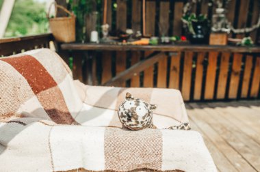 Yaz ahşap odada yatakta yatan ve kameraya bakan sevimli bir oyuncak kedi portresi.