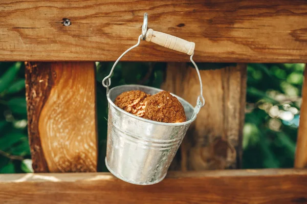 Biscoitos de aveia em pequeno balde penduram em uma cerca de madeira. Fechar. — Fotografia de Stock