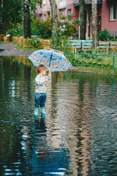 Criança caminhando no parque da cidade depois de uma chuva . — Fotografia de Stock