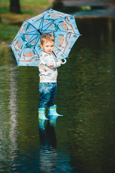 Criança adorável segurando um guarda-chuva após uma tempestade de chuva — Fotografia de Stock
