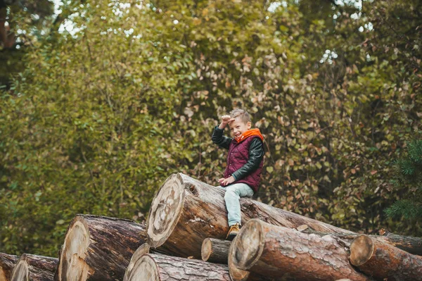 Jesienny portret małego chłopca w jesiennym parku na stosie kłód. — Zdjęcie stockowe
