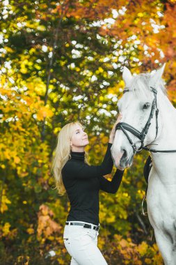 Genç ve çekici sarışın kadın sonbahar ormanında beyaz bir ata dokunuyor..