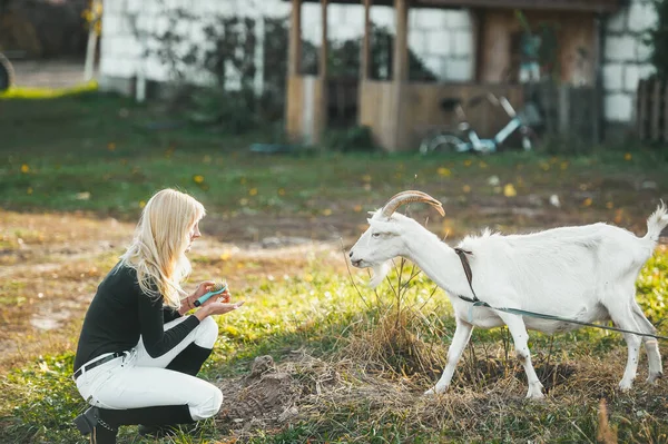 Blond vrouw met haarborstel spelen met witte geit. — Stockfoto