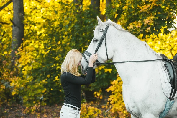 Ung attraktiv blond kvinna kramar en vit häst i en höstskog. — Stockfoto